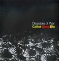 Cover: Disasters of War - National Touring Exhibitions (Hayward Gallery)