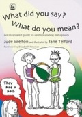 Cover: What Did You Say? What Do You Mean? - Jessica Kingsley Publishers