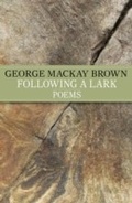 Cover: Following A Lark - John Murray Learning