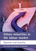 Cover: Ethnic minorities in the labour market - Policy Press