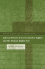 Cover: Judicial Review, Socio-economic Rights and the Human Rights Act - Hart Publishing
