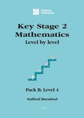 Cover: Key Stage 2 Mathematics Level by Level: Pack B - Pearson Publishing