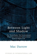 Cover: Between Light and Shadow - Hart Publishing