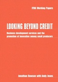 Cover: Looking Beyond Credit - Practical Action Publishing