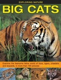 Cover: Exploring Nature: Big Cats - Armadillo Books