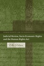 Cover: Judicial Review, Socio-Economic Rights and the Human Rights Act - Hart Publishing
