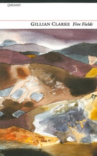 Enlarge image Cover: Five Fields - Carcanet Press Ltd