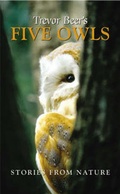 Cover: Trevor Beer's Five Owls - Halsgrove