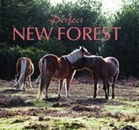 Abbildung von: Perfect New Forest - Halsgrove