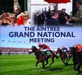 Cover: The Aintree Grand National Meeting - Halsgrove