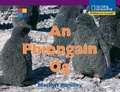 Cover: Fuinneog ar an Domhan - An Phiongain Og - Carroll Heinemann