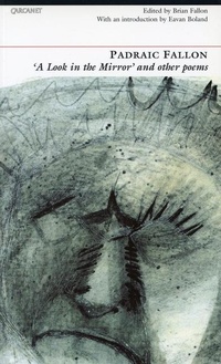 Enlarge image Cover: Look in the Mirror and Other Poems - Carcanet Press Ltd
