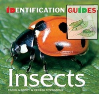 Enlarge image Cover: Insects - Flame Tree Publishing