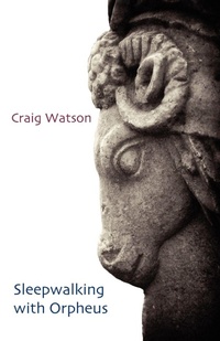 Enlarge image Cover: Sleepwalking with Orpheus - Shearsman Books