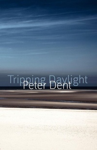 Enlarge image Cover: Tripping Daylight - Shearsman Books