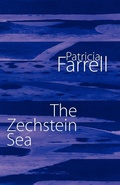 Cover: The Zechstein Sea - Shearsman Books