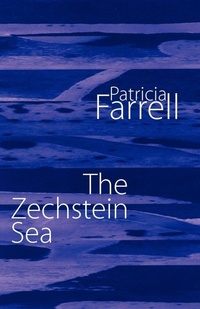 Enlarge image Cover: The Zechstein Sea - Shearsman Books