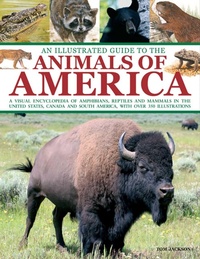 Abbildung von: An Illustrated Guide to the Animals of America - Armadillo Books