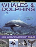 Cover: Exploring Nature: Whales & Dolphins - Armadillo Books