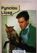 Cover: Llyfr Mawr Ffeithiol: Pynciau Llosg - Gomer Press