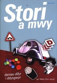 Abbildung von: Stori a Mwy - Gomer Press