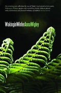 Cover: Waking in Winter - Gomer Press