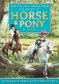 Cover: Treasury of Horse and Pony Stories - Award Publications Ltd
