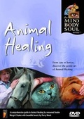 Cover: Animal Healing - New World Music
