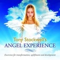 Cover: Angel Experience - New World Music