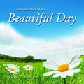 Cover: Beautiful Day - New World Music
