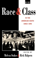 Cover: Race and Class in the American South since 1890 - Berg Publishers