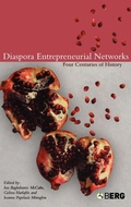 Cover: Diaspora Entrepreneurial Networks - Berg Publishers