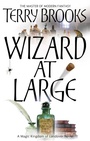 Cover: Wizard At Large - Orbit