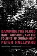 Cover: Damming the Flood - Verso Books