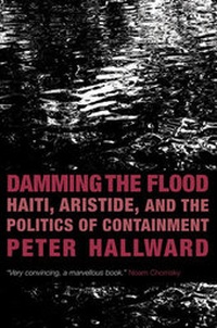Enlarge image Cover: Damming the Flood - Verso Books