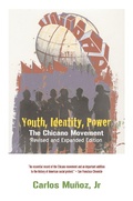 Cover: Youth, Identity, Power - Verso Books