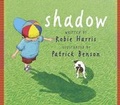 Cover: Shadow! - Brubaker, Ford & Friends