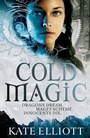 Cover: Cold Magic - Orbit