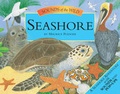 Cover: Sounds Of The Wild Seashore - Templar Books