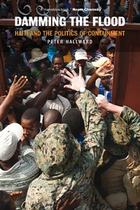 Enlarge image Cover: Damming the Flood - Verso Books