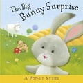 Cover: The Big Bunny Surprise - Templar Publishing