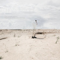 Enlarge image Cover: The Blind - Intellect Books