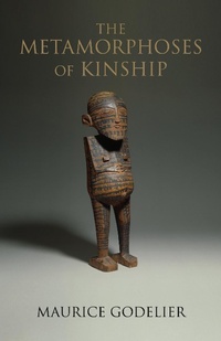 Enlarge image Cover: The Metamorphoses of Kinship - Verso Books
