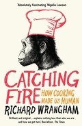 Cover: Catching Fire - Profile Books Ltd