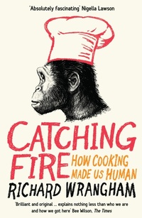 Enlarge image Cover: Catching Fire - Profile Books Ltd