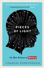 Cover: Pieces of Light - Profile Books Ltd