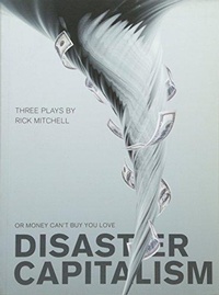 Enlarge image Cover: Disaster Capitalism - Intellect Books