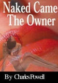 Cover: Naked Came the Owner - Blackie & Co Publishers Ltd