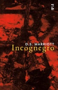 Cover: Incognegro - Salt Publishing