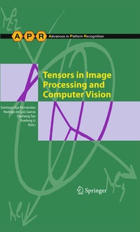 Enlarge image Cover: Tensors in Image Processing and Computer Vision - Springer